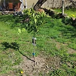 La Biescona De Lluces D'itaca Conexion Y Arraigo Vakantiehuis *