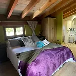 Vakantiehuis La Biescona De Lluces D'itaca Conexion Y Arraigo Luces
