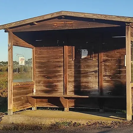 La Biescona De Lluces D'itaca Conexion Y Arraigo * Luces