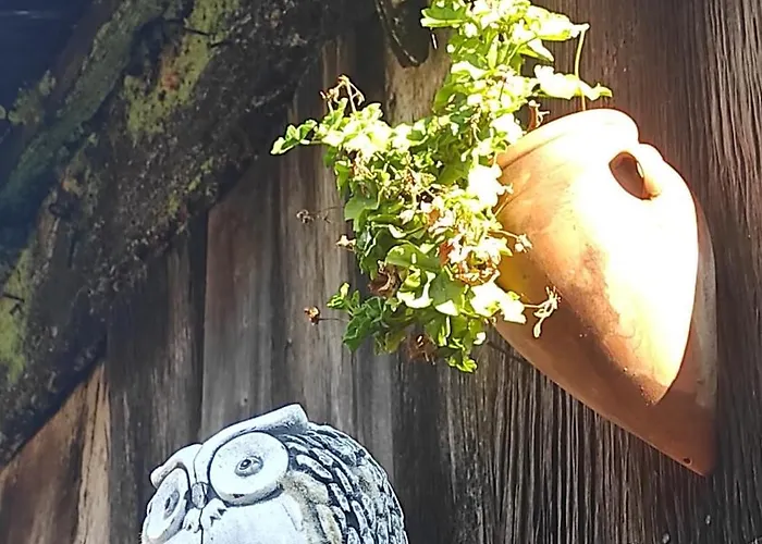 La Biescona De Lluces D'itaca Conexion Y Arraigo