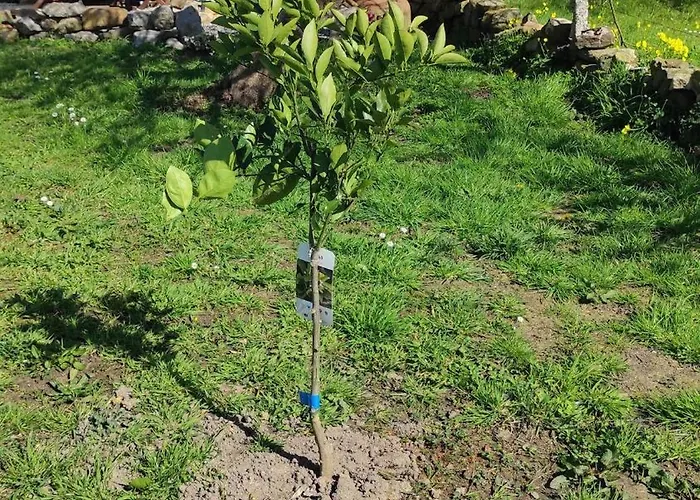 La Biescona De Lluces D'itaca Conexion Y Arraigo Ferienhaus *