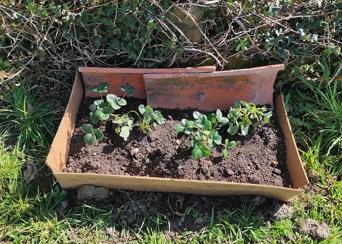 Holiday home La Biescona De Lluces D'itaca Conexion Y Arraigo