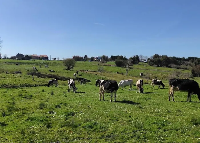 Ferienhaus La Biescona De Lluces D'itaca Conexion Y Arraigo *