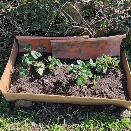 Vakantiehuis La Biescona De Lluces D'itaca Conexion Y Arraigo