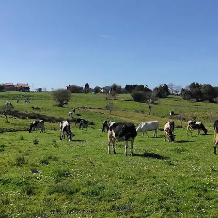 Vakantiehuis La Biescona De Lluces D'itaca Conexion Y Arraigo *